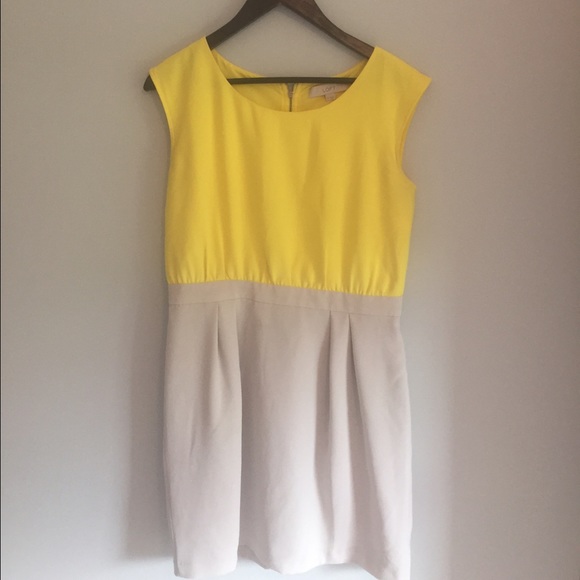 LOFT color block dress