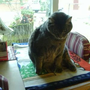 Meet your Posher, Pamela