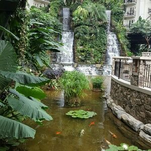 Meet your Posher, Dena