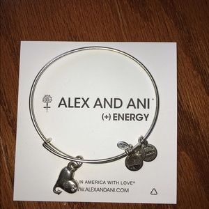 ALEX AND ANI