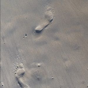 Meet your Posher, Mara