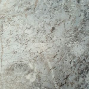 Meet your Posher, Fred