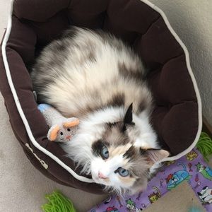 Meet your Posher, Erica