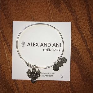 ALEX AND ANI
