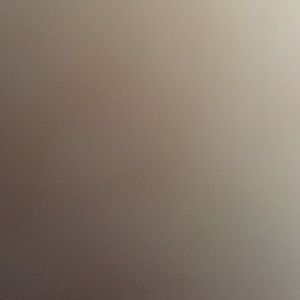 Meet your Posher, Bob