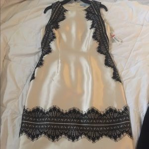 Champagne/Black cocktail dress