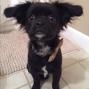 Meet your Posher, Donna