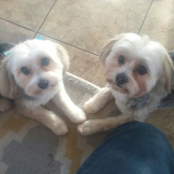 Meet your Posher, Adam - Picture 1 of 1