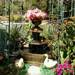 Meet your Posher, Sandy