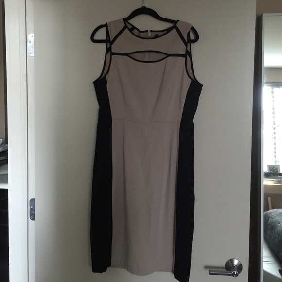 BCBG dress