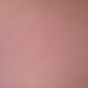 Meet your Posher, Shatiah