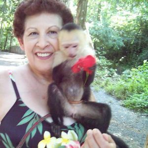 Meet your Posher, Sue