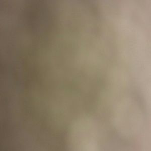 Meet your Posher, Bobbi