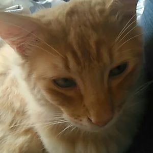 Meet your Posher, Cathrine