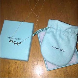 Tiffany & Co necklace