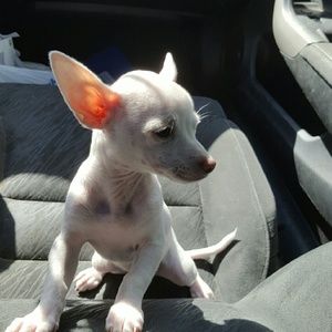 Meet your Posher, Sandra