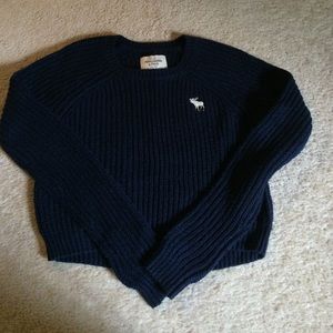 A&F crop top sweater