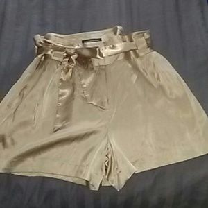 Silk shorts Express New
