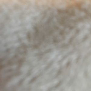 Meet your Posher, Alana