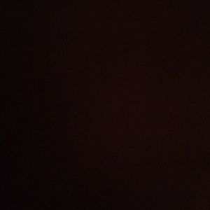 Meet your Posher, Stevie