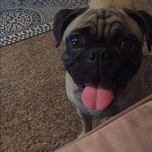 Meet your Posher, Jodeen