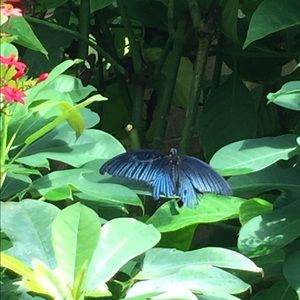 Meet your Posher, Juana