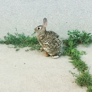 Meet your Posher, Jackie