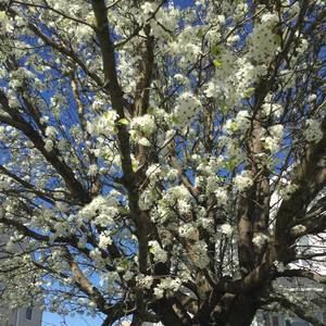 Meet your Posher, Annemarie