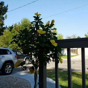 Meet your Posher, Alaina