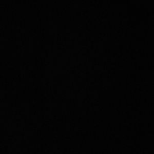 Meet your Posher, Tyra