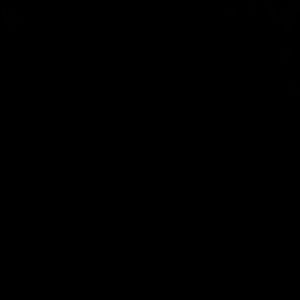 Meet your Posher, Silli