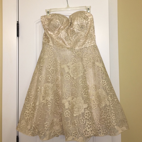FINAL PRICE - Strapless Champagne Dress