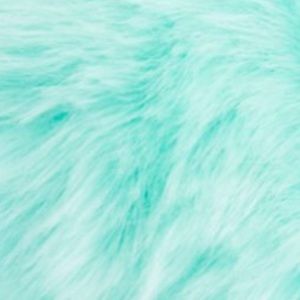 Meet your Posher, Riley