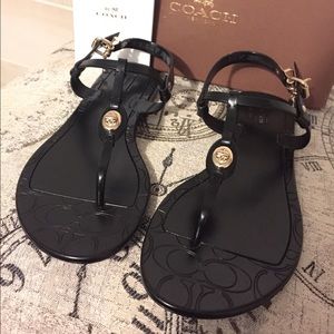 Coach Pier Shiny Jelly Sandal