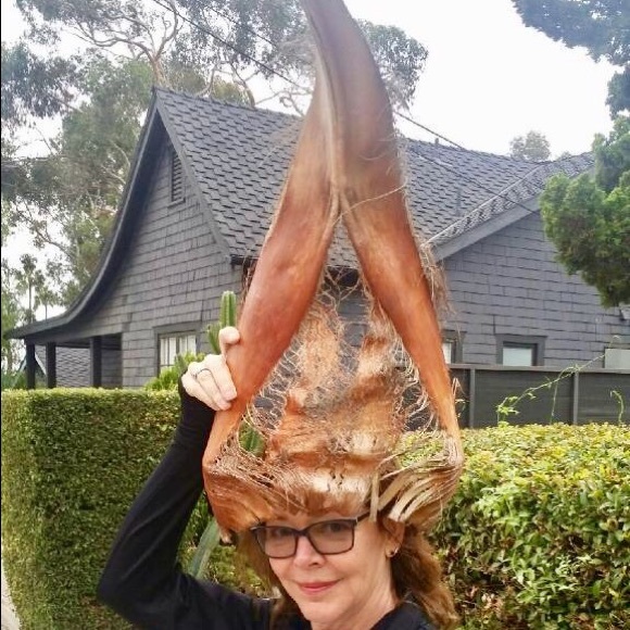 Meet your Posher, Robin - Picture 2 of 2