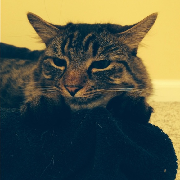 Meet your Posher, Elise