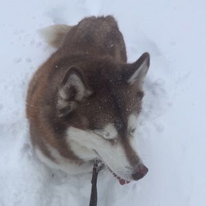 Meet your Posher, Jinrong