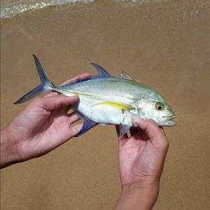 Meet your Posher, Jack