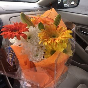 Meet your Posher, Haley