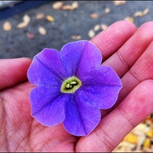 Meet your Posher, Elle