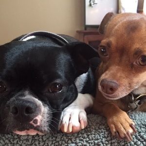 Meet your Posher, Jody