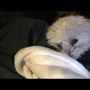 Meet your Posher, Laura