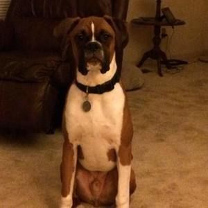 Meet your Posher, Cathy