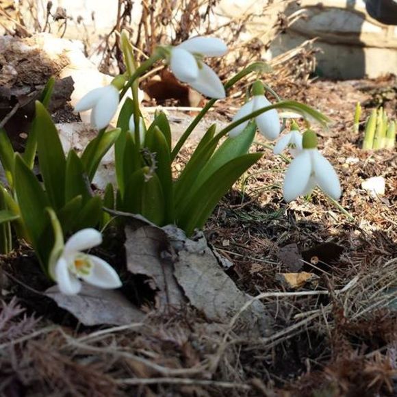 Meet your Posher, Deborah