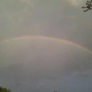 Meet your Posher, Carlotta