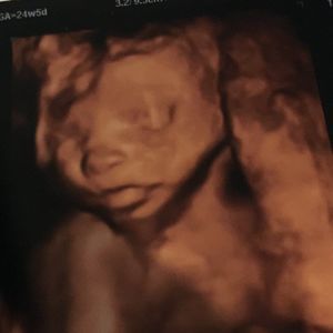 Meet your Posher, Shelby