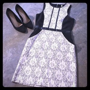 Kensie cocktail stunner!