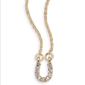 New Pavé Horseshoe Pendant Necklace!