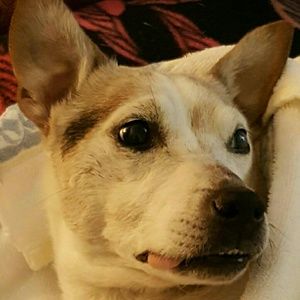 Meet your Posher, Renee