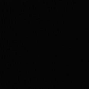 Meet your Posher, Marlon